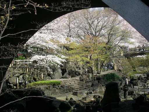 otonasi1_512.JPG